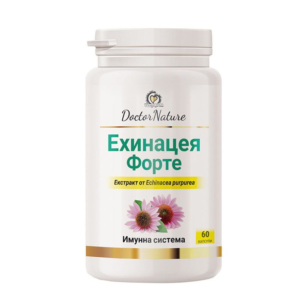 32075 echinacea