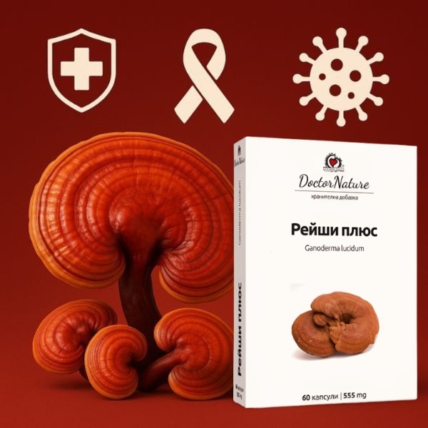 30303 reishi plus baner