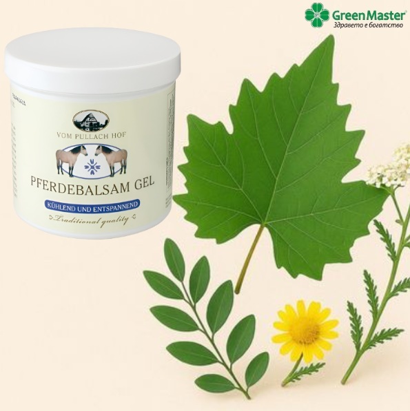 51202   konski gel balsam   baner