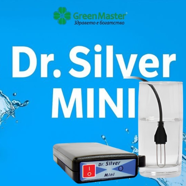 20026   silver mini   baner