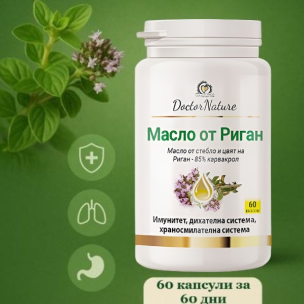32031   maslo ot rigan   baner