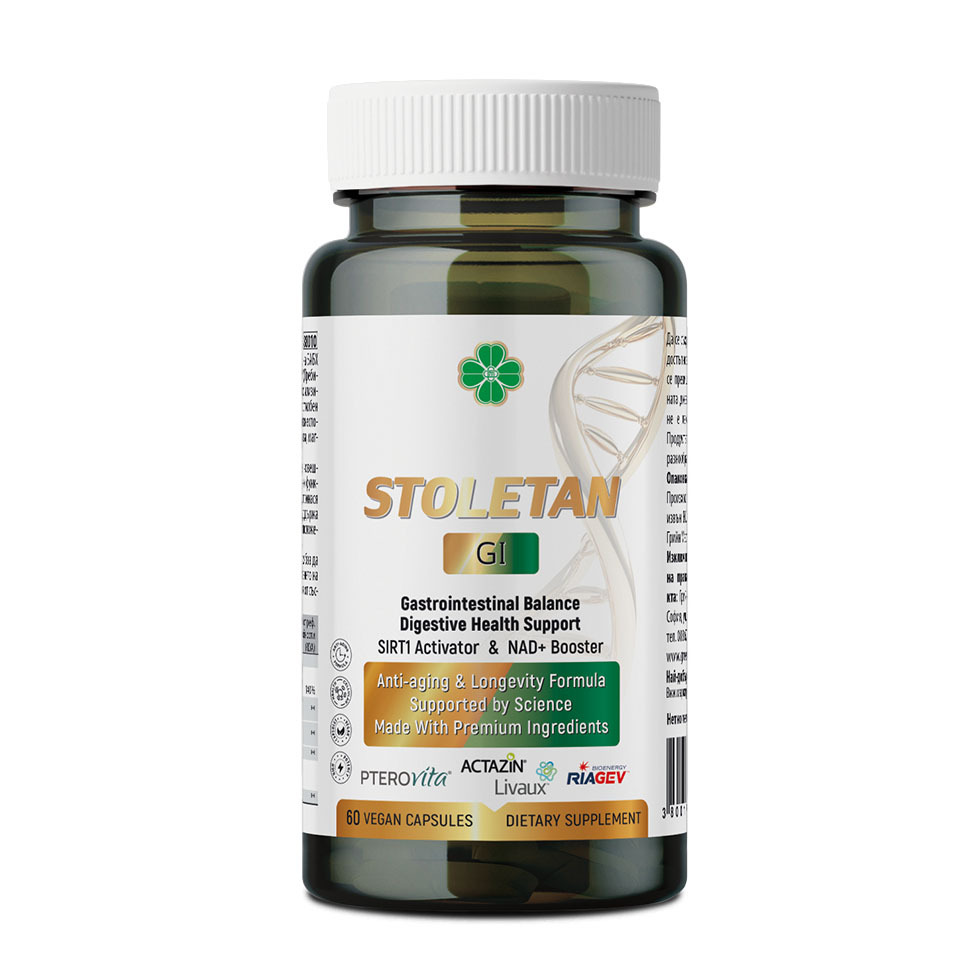 88010 stoletan gi