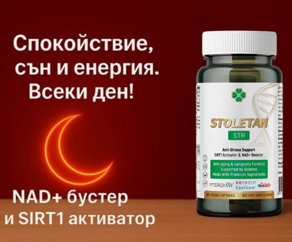 88008   stoletan str   baner