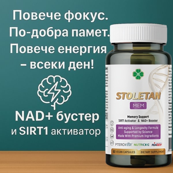 88003   stoletan mem   baner
