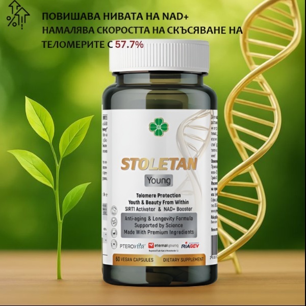 88011   stoletan young   baner
