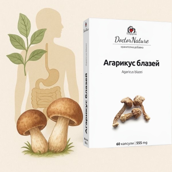 30311   agarikus blazei   baner