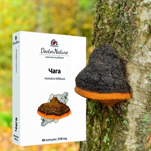 30319   chaga   baner