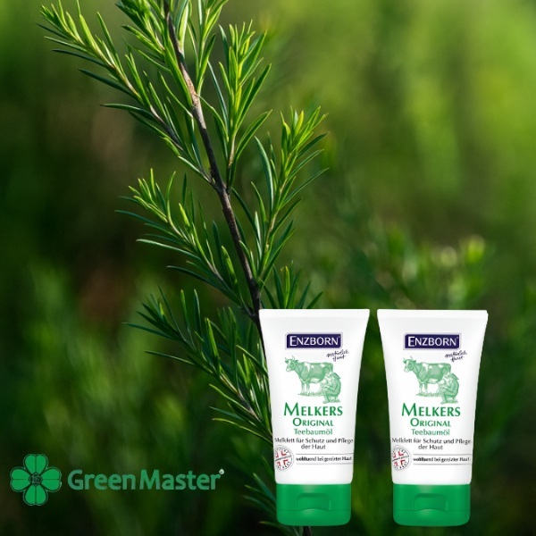 50105230   2 broq chaeno   baner