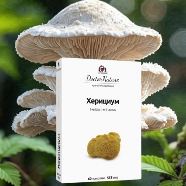 30312   hericium   baner