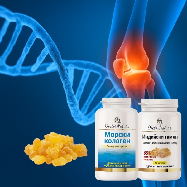 62201   indiiski tamqn   morski kolagen   baner