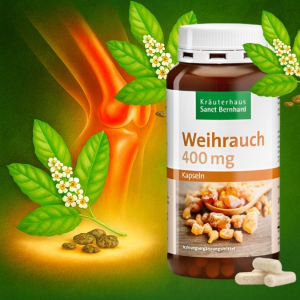 30495   bosveliq   baner