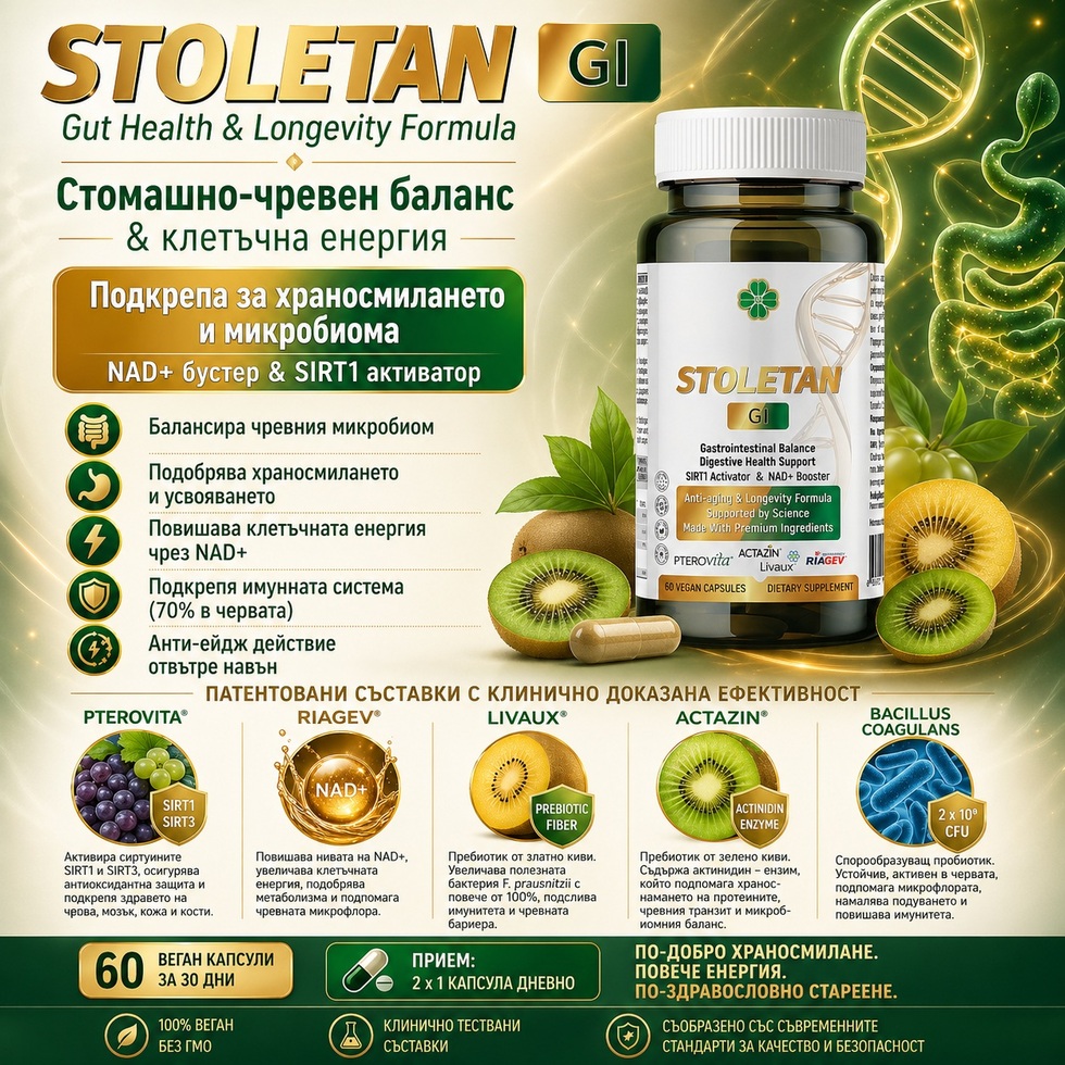 Stoletan gi   %d0%bd%d0%be%d0%b2 %d1%81 %d1%80%d0%b0%d0%b7%d0%bc%d0%b5%d1%80%d0%b8 %d0%b7%d0%b0 %d1%84%d0%b5%d0%b9%d1%81%d0%b1%d1%83%d0%ba