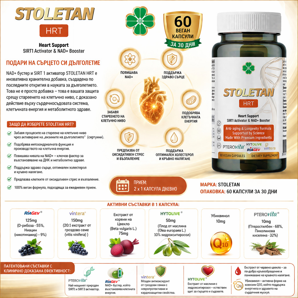 Stoletan hrt   2