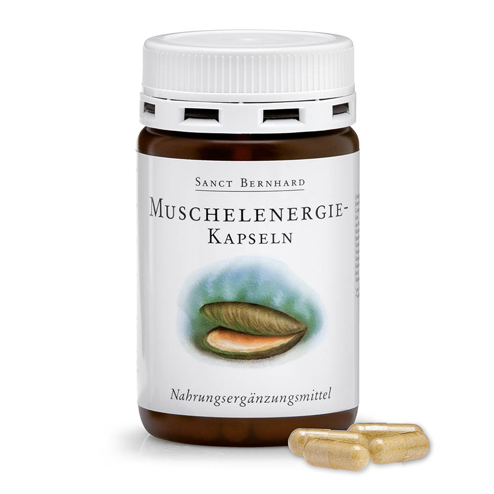 30496 muschelenergie kap