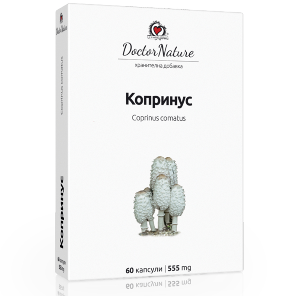 30309 koprinus