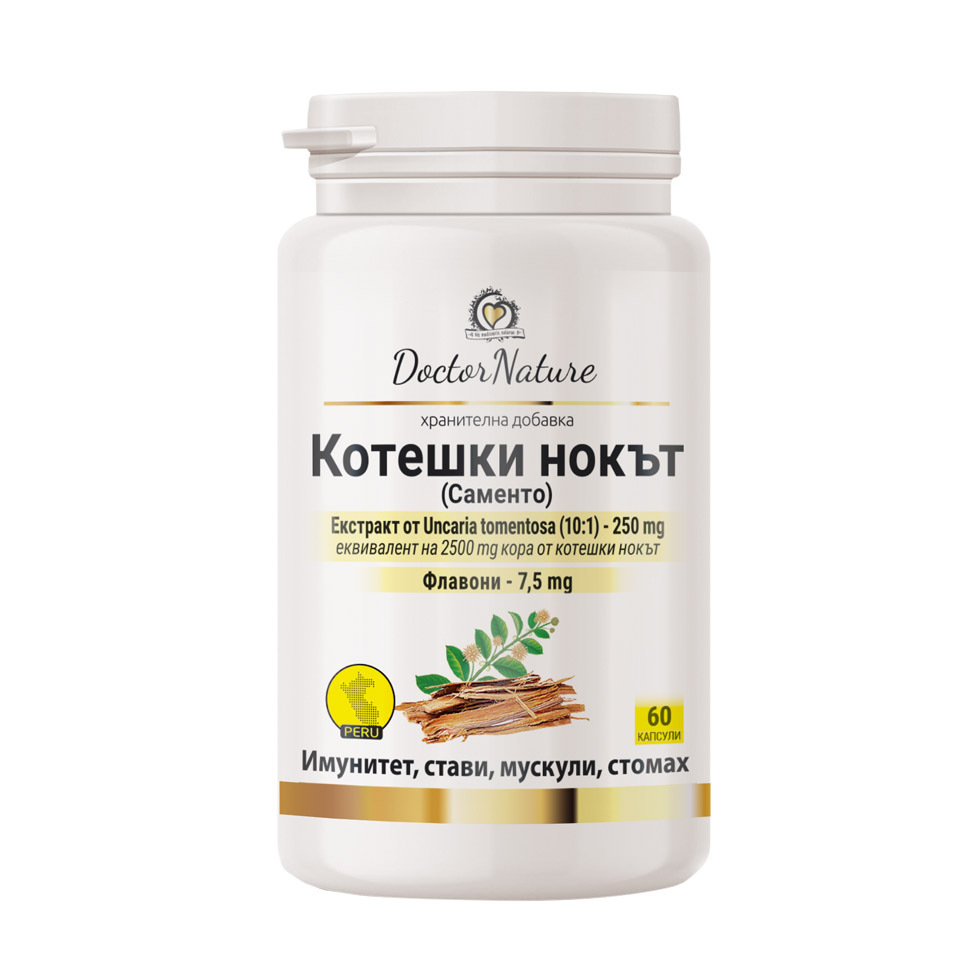 32010 koteshki nokut web